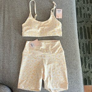Wilo Bold Daisy Set